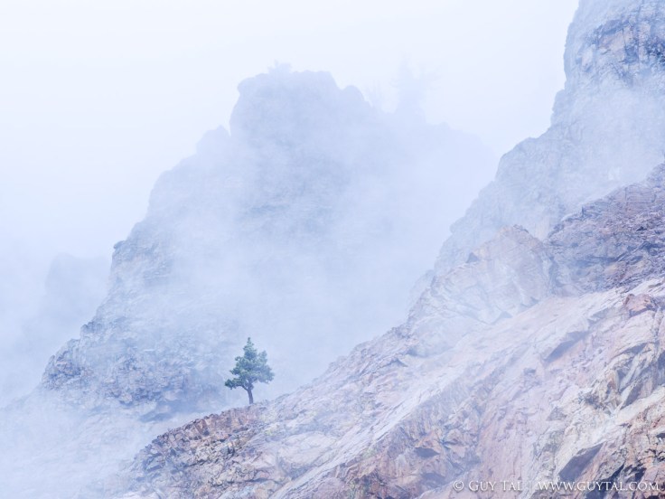 Amor Fati—Part I:&nbsp;Introduction